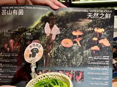 -芸山季·云南山珍菌火锅(人民广场来福士店)