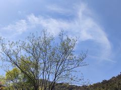 -树山生态村
