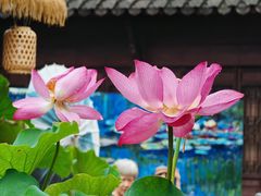 -钱王祠