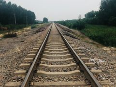 -东郊湿地公园