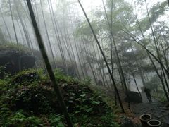 -藏龙百瀑风景区