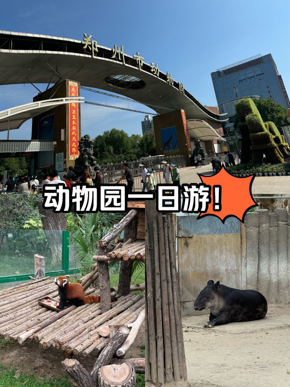 郑州动物园一日游!