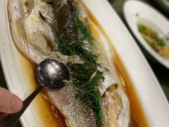 鲥鱼-小南国(金沙江路店)