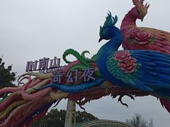 -南山植物园