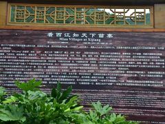 -苗湘食府(十年店)