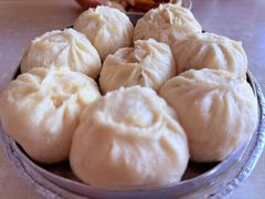 -张老五凉粉店(省医院店)