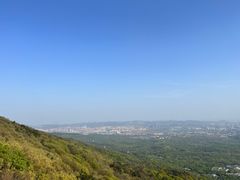 -紫金山山顶公园