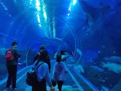 -成都浩海立方海洋公园