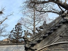 -青岛崂山太清宫