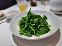 五粮液嫩豆苗-玫瑰厅上海菜(兴国路店)