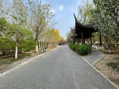 -桃花堤公园