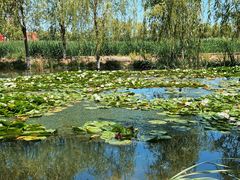 -永定河休闲森林公园