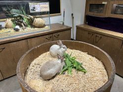 -Zoolung Zoolung动物主题公园(海信广场店)