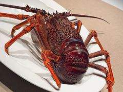 -子福慧(虹桥店)