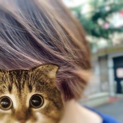 -潘多拉Hairsalon
