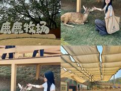 -盈香心动乐园
