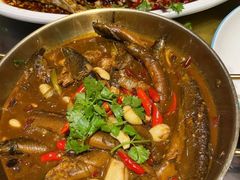 -百味地锅鸡(二店·财校分店)