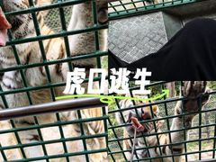 -深圳野生动物园