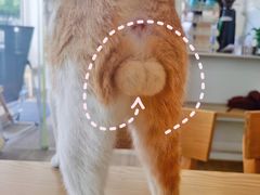 -WATER CAFE(广厦店)