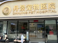 -丹景宠物医院·全科·老年病·牙科(武昌诊疗中心)