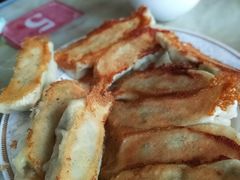 -青岛锅贴(四流中路店)