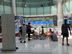 -小海豚国际游泳培训中心(浦东塘桥店)