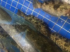 -皇朝海鲜酒店
