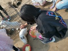 -前小桔亲子创意农场·草莓采摘·露营烧烤