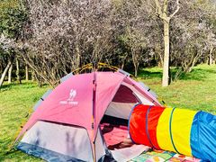 -蜀冈西峰生态公园