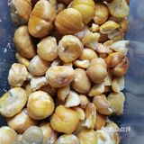 舌尖上的凤凰，山珍走起