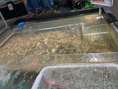 -盒马鲜生(莱蒙都会店)
