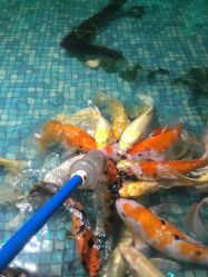 -酷嗒动物文化乐园(cutezoo西溪乐天城店)