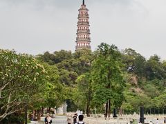 -顺峰山公园