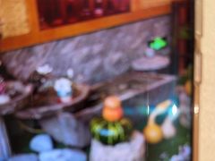 -东方威尼斯温泉酒店