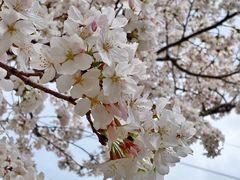 -西北湖绿化广场