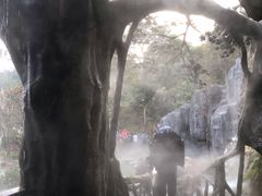 -清境桃源