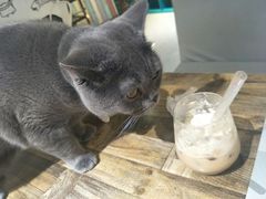 -小时光咖啡馆(开森度假森林店)