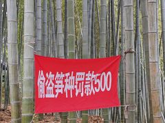 -宝岩生态观光园