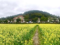 -红山村