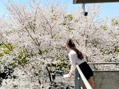 -IKEA宜家家居(南京商场)