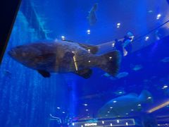 -成都浩海立方海洋公园