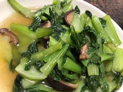 蒜泥生菜-张一品食府