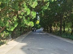 -八大关景区