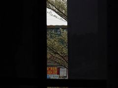 -来回·咖啡(钟村咖啡豆店)