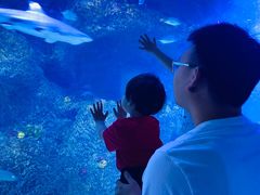-沙沙哗啦海洋馆(华宇百花谷店)