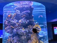 -成都浩海立方海洋公园