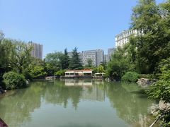 -西苑公园