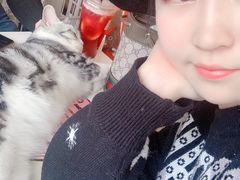 -藏猫猫咖啡主题馆(中央大道店)