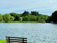 -上海共青森林公园