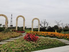 -紫颐香薰山谷景区